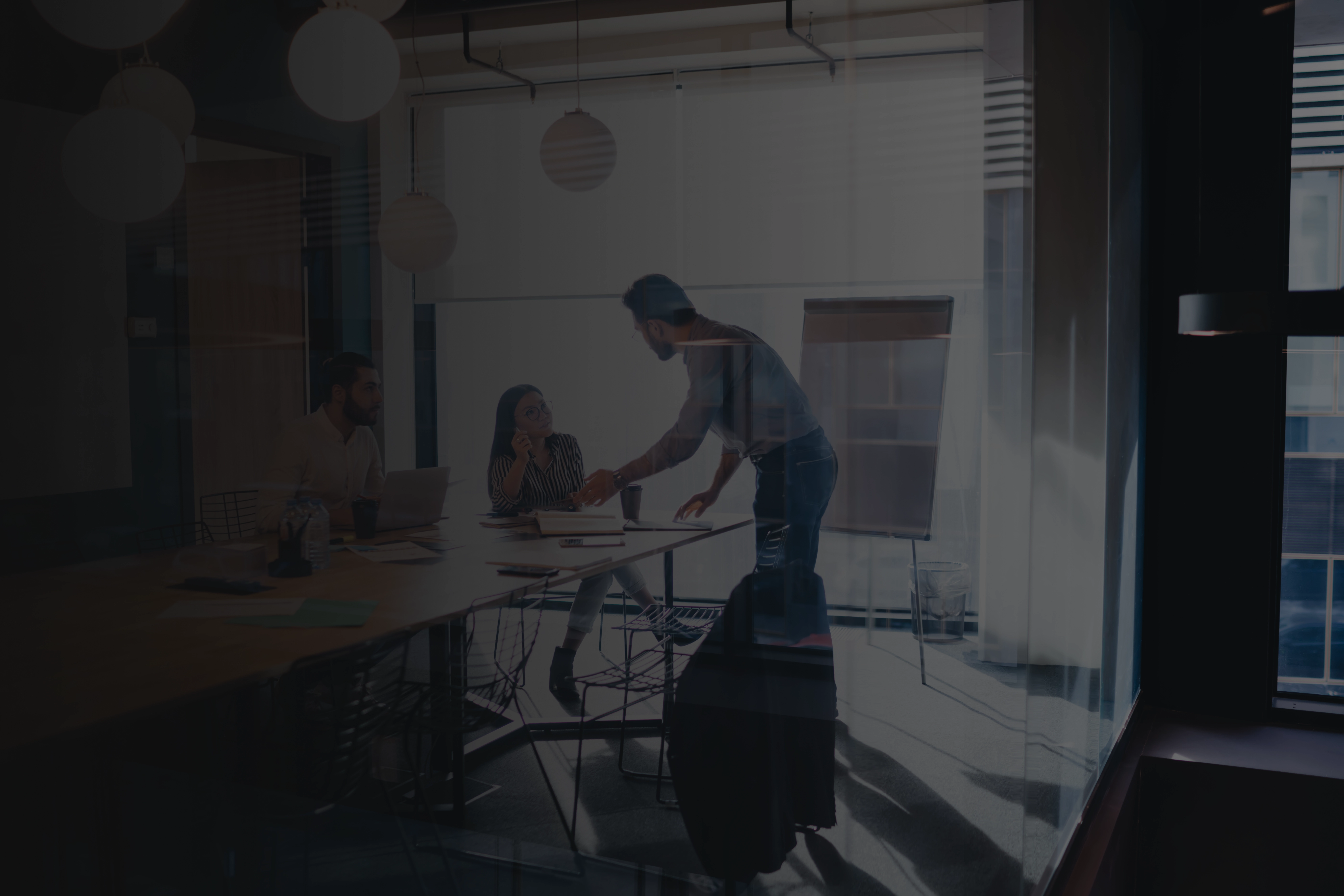 Professional business consultation
